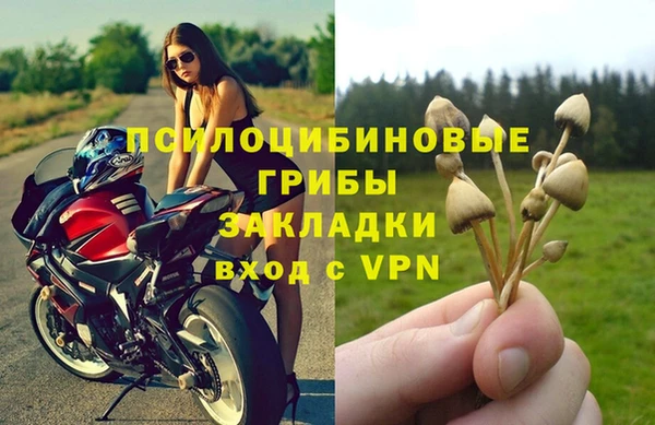 хмурый Краснотурьинск