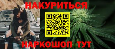 гидра Заводоуковск