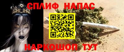 гидра Заводоуковск