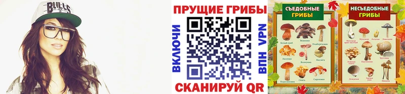 закладка  Рубцовск  Псилоцибиновые грибы Psilocybine cubensis 