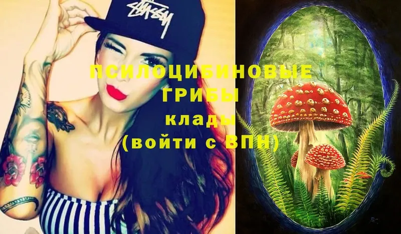 Псилоцибиновые грибы MAGIC MUSHROOMS  купить наркотики сайты  Рубцовск 