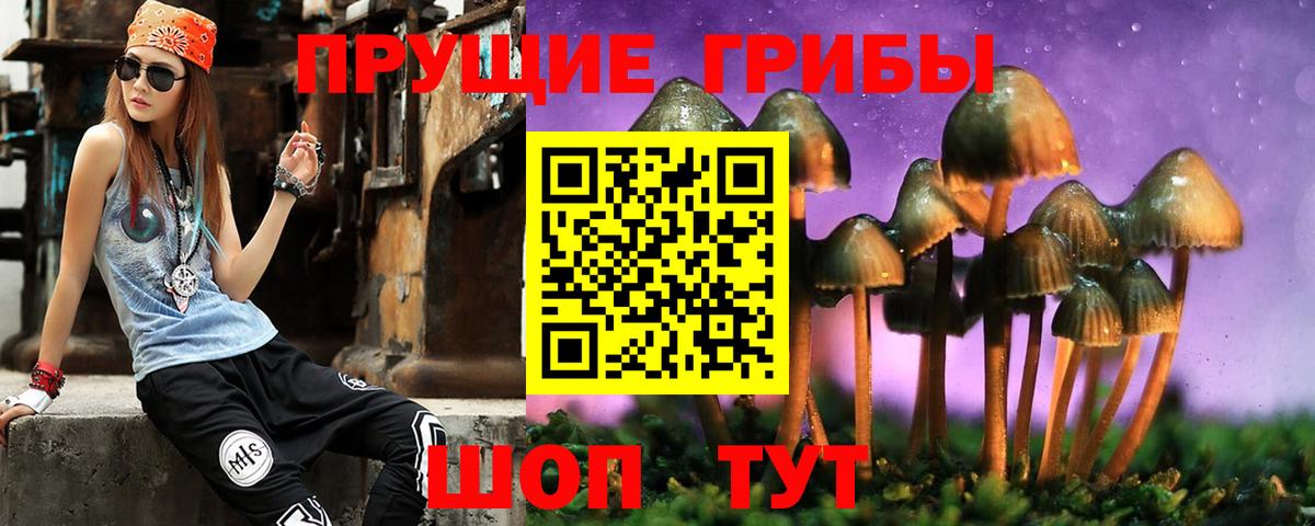 Галлюциногенные грибы мицелий  купить наркотик  Рубцовск  Вход с VPN 