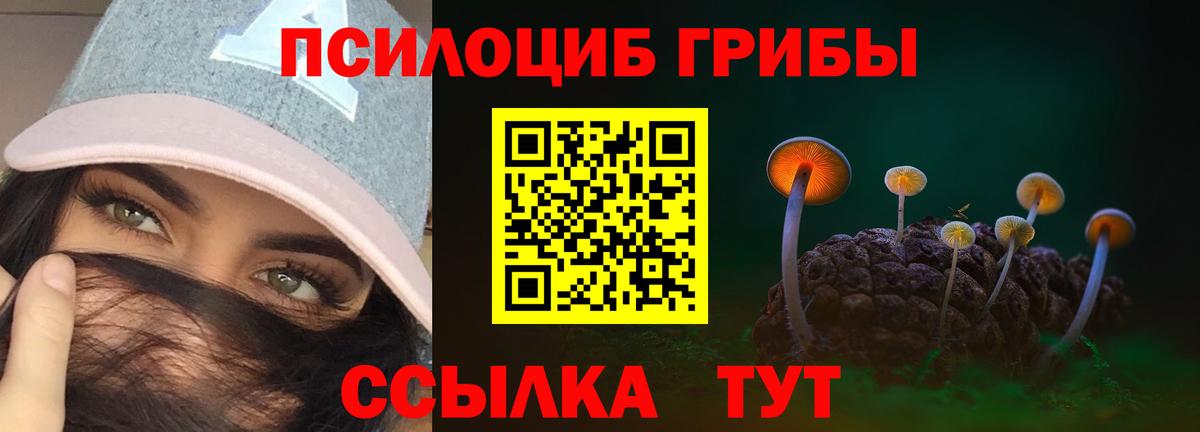 Галлюциногенные грибы прущие грибы Рубцовск